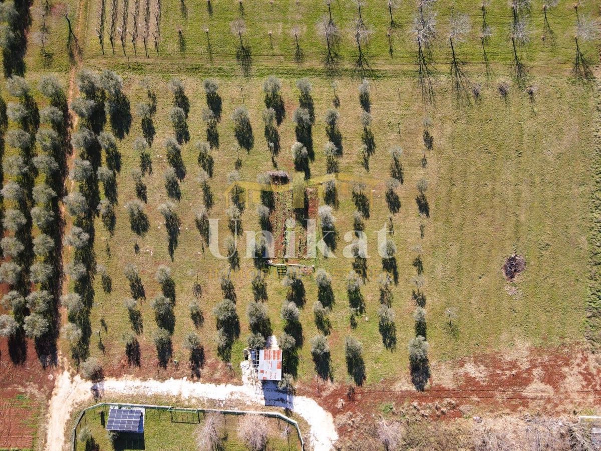 Veliko gradbeno zemljišče 8 km od Poreča